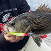 RAPALA X-RAP DEEP [SIZE:8CM COLOUR:SILVER]