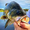 RAPALA RIPPIN RAP [SIZE:7CM COLOUR:BAD LIPSTICK]