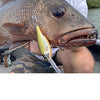 RAPALA SHAD RAP ELITE 7.5CM [COLOUR:GILDED COPPER PERCH]