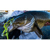 RAPALA RAP-V PIKE BLADED JIG [SIZE:21G COLOUR:LIVE ROACH]