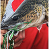 RAPALA RAP-V PIKE BLADED JIG [SIZE:21G COLOUR:LIVE ROACH]