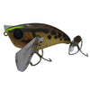 JACKALL POMPADOUR 79MM 22 GRM SURFACE LURE [COLOUR:SAND FROG]