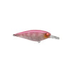 JACKALL SUPER SQUIRREL 79 FLAT SILENT HARD BODY LURE [COLOUR:PG SHRIMP]
