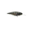 JACKALL SUPER SQUIRREL 79 FLAT SILENT HARD BODY LURE [COLOUR:SCAT]