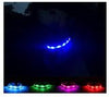 DOGBOX LED DOG COLLAR