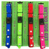 DOGBOX LED DOG COLLAR