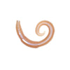 LUNKERHUNT RIVER WORM SOFT PLASTIC PACK OF 8